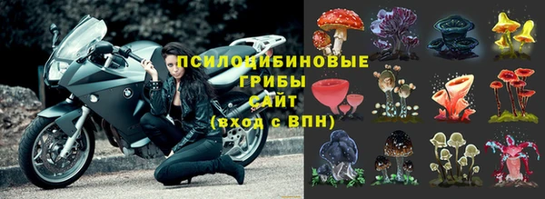 гашик Верхний Тагил
