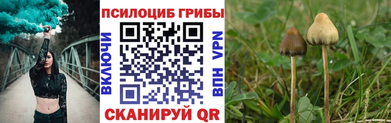 Псилоцибиновые грибы Magic Shrooms Нахабино
