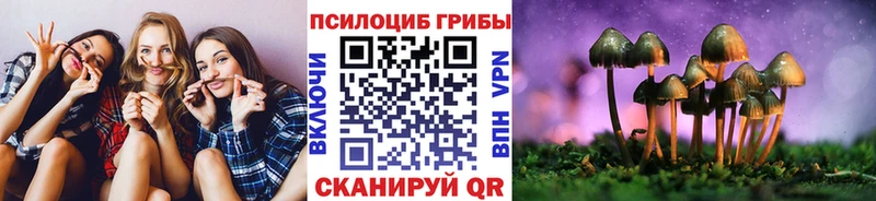 Псилоцибиновые грибы GOLDEN TEACHER  сайты даркнета клад  Нахабино  blacksprut онион 